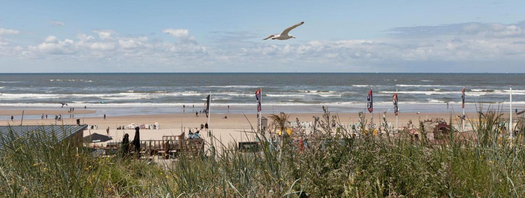 Beach&Dunes Apartment Zandvoort Eksteriør bilde