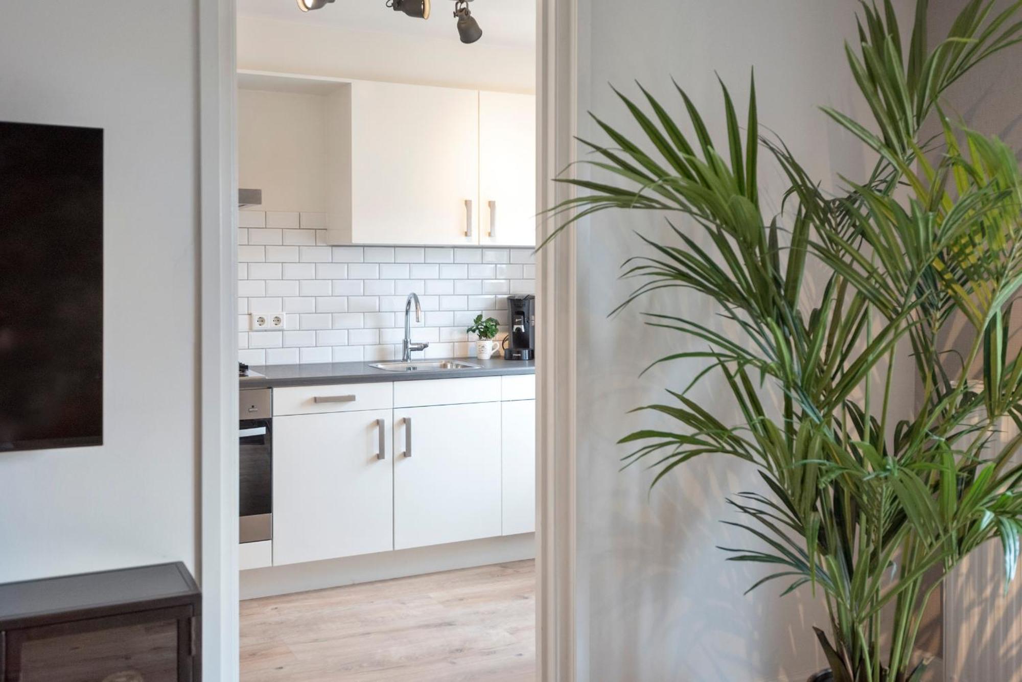 Beach&Dunes Apartment Zandvoort Eksteriør bilde